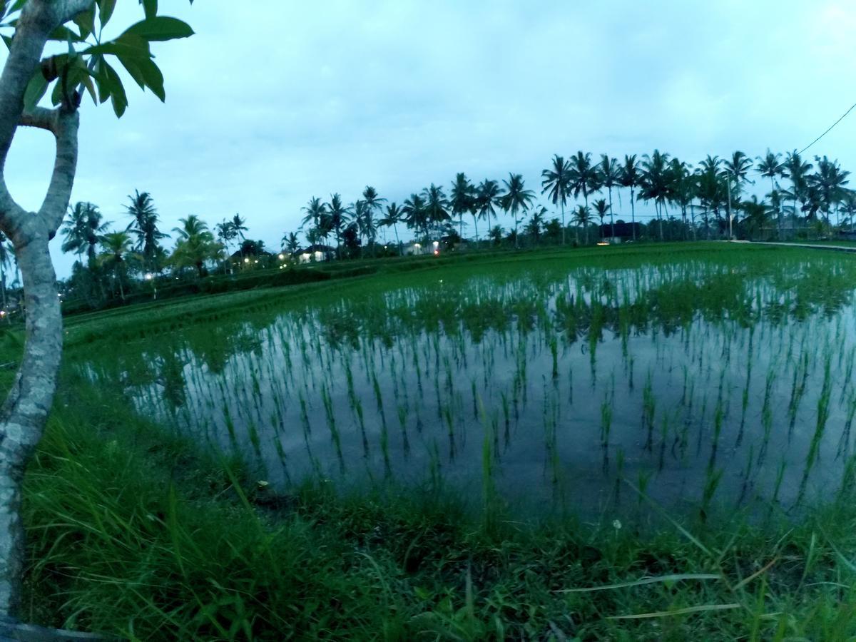 Amaya Cottage Ubud By Shm エクステリア 写真