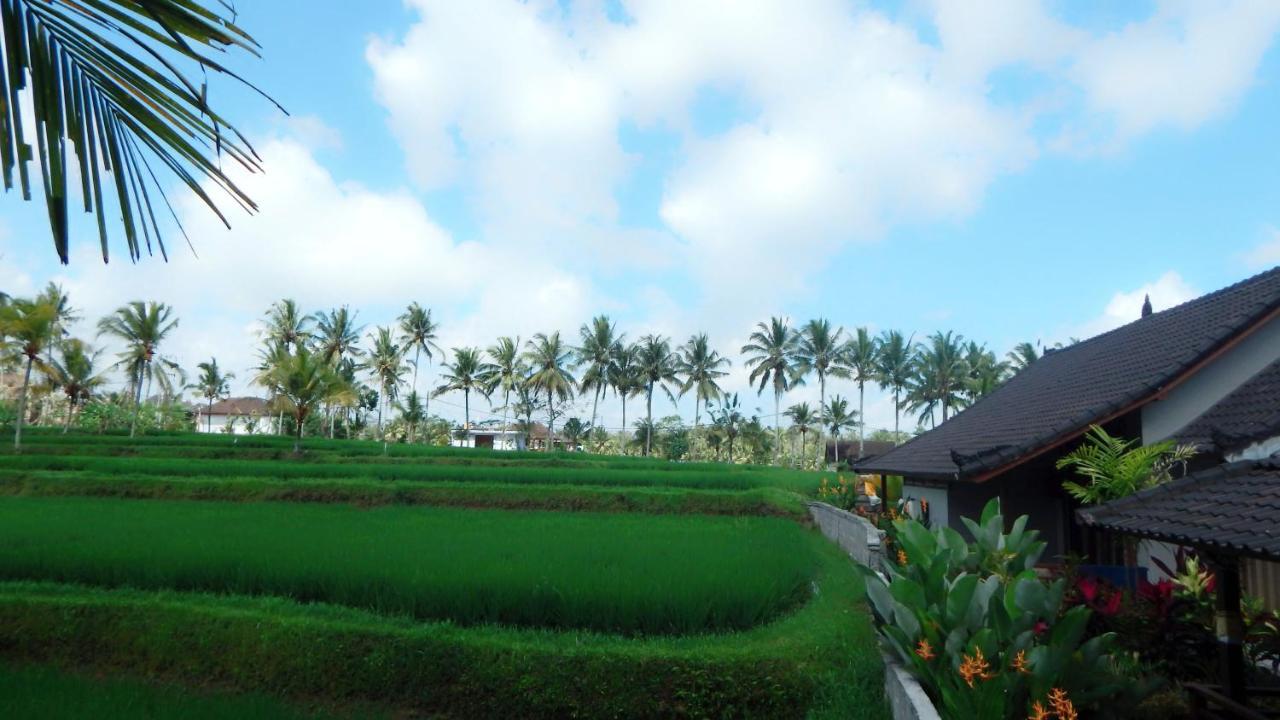 Amaya Cottage Ubud By Shm エクステリア 写真