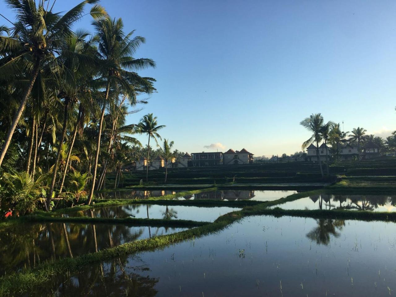Amaya Cottage Ubud By Shm エクステリア 写真