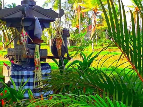 Amaya Cottage Ubud By Shm エクステリア 写真