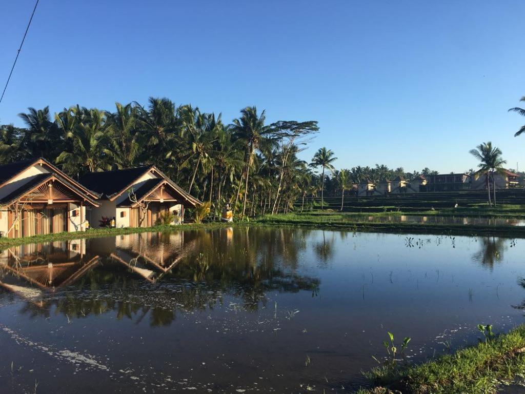 Amaya Cottage Ubud By Shm エクステリア 写真